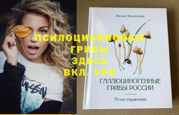 сатива Алексеевка