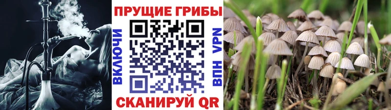 ссылка на мегу как зайти  Ликино-Дулёво  Псилоцибиновые грибы ЛСД 